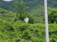 충북 영동 야산서도 오물풍선 발견…"위험물질 없어"