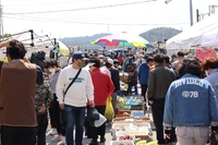 양양전통시장 1천평 확대…42개 점포 증가