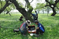 "불법 수목진료 꼼짝 마"…산림청·지자체 합동 단속