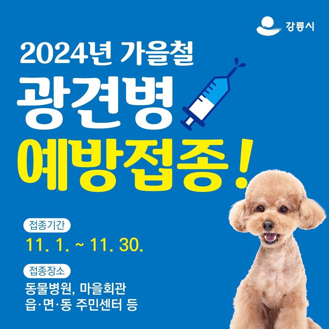 광견병 예방접종 안내 