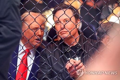 트럼프 당선인과 UFC 경기를 관람하는 일론 머스크(오른쪽)