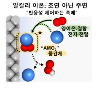 "조연 아닌 주연" 알칼리 이온의 재발견, '구경꾼' 오명 벗었다