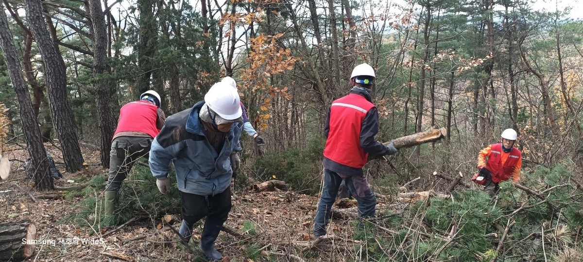 경주시, 소나무재선충병 방제에 360억 투입