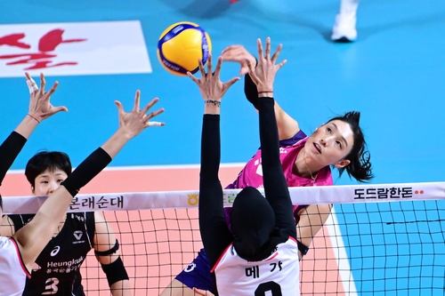 다시 독주하는 여자배구 흥국생명…정관장 꺾고 5연승 질주