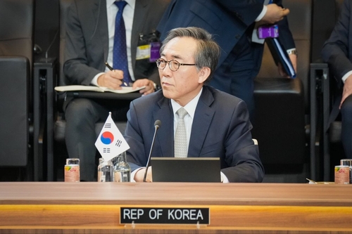 [인터뷰] 조태열 "상호관세 협의가능…민감국가 발효전 해제 쉽지 않아"(종합)