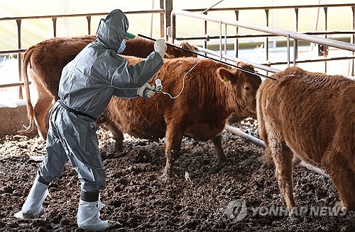소 감염병 예방접종