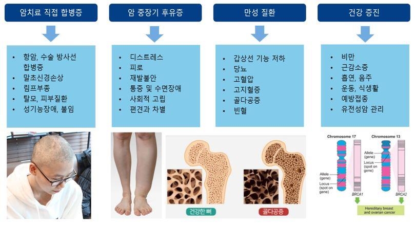 암생존자의 다양한 문제와 미충족 해결 필요