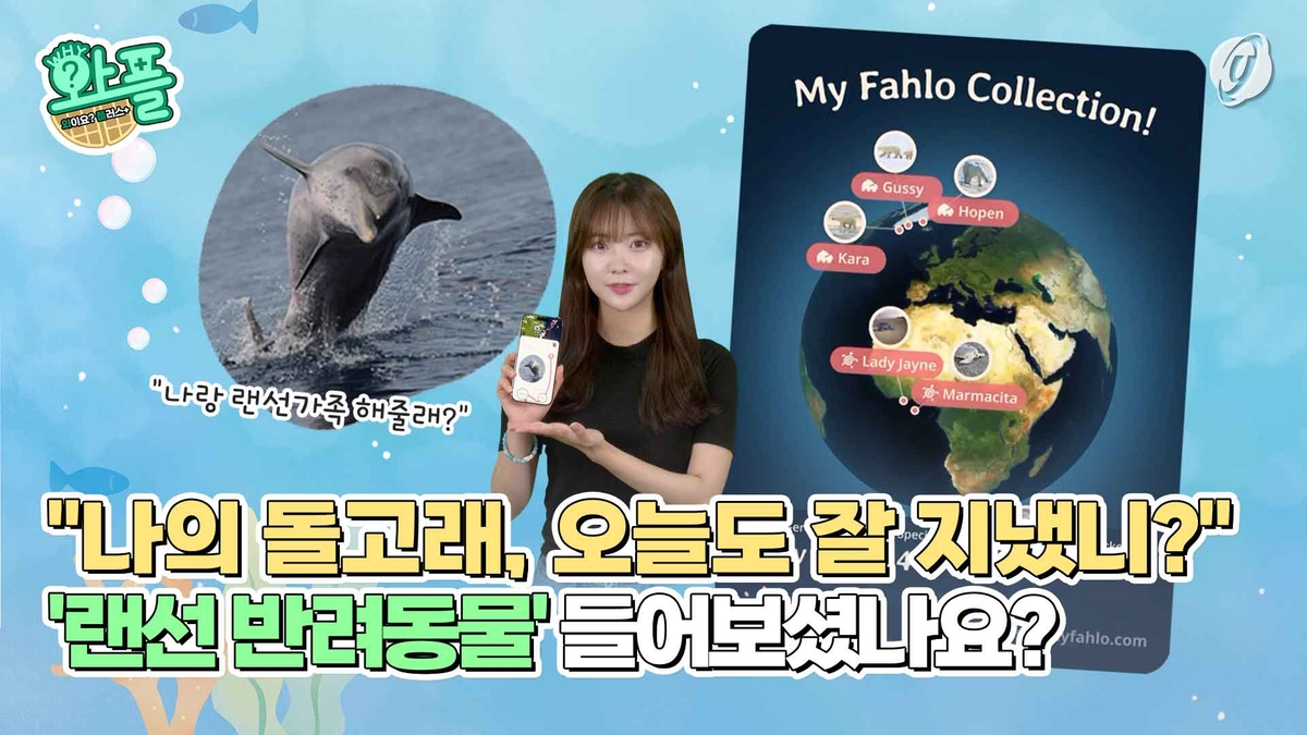 [와플] "나의 돌고래, 오늘도 잘지냈니"…'랜선반려동…
