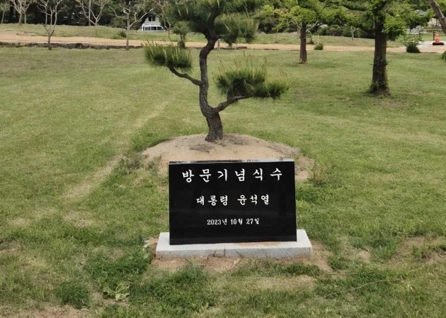 병산서원서 사라진 '윤석열 기념식수 비석'…안동시, 현…