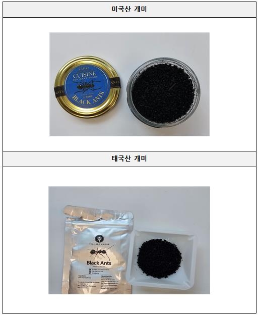 해외서 들여온 