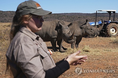 남아공, 밀렵 위협 코뿔소 지키려 뿔에 방사성 물질 주…