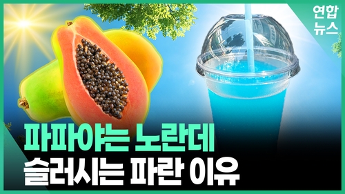 [영상] 주황빛 과일 파파야…슬러시는 왜 파란색일까