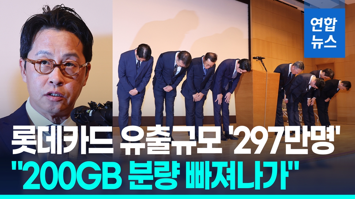 [영상] 롯데카드 대표 %22회원정보 유출규모 297만명…200GB 분량%22