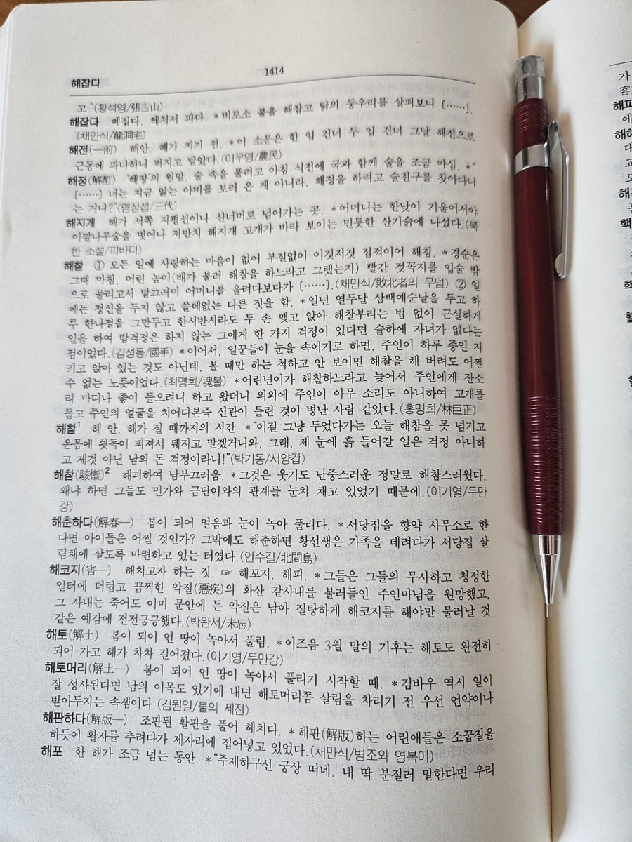 소설어사전에서 찾은 단어 '해찰'