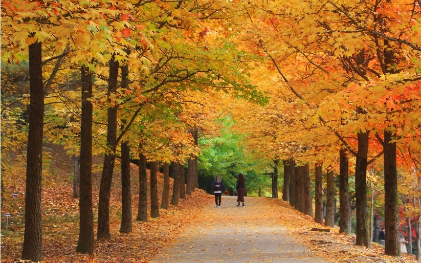 °æ³²¼ö¸ñ¿ø ´Üdz