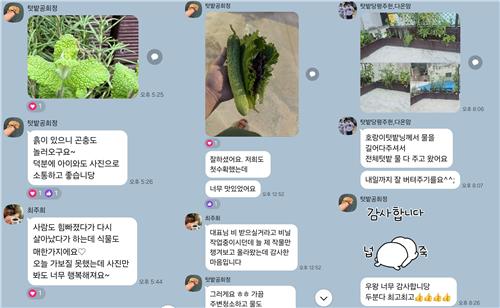 텃밭 가꾸는 주민들의 단체카톡방