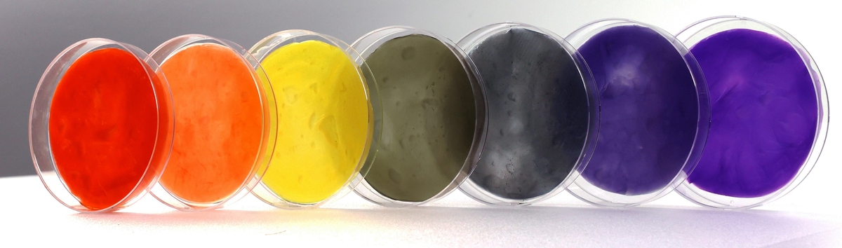 무지개색 박테리아 셀룰로스