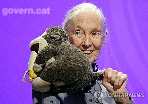 2015년 당시 제인 구달 모습