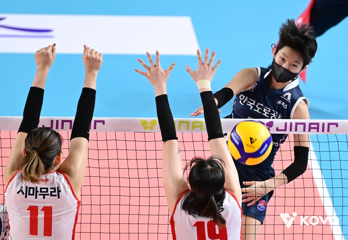 여자배구 도로공사, 10연승·남자부 OK 신영철 감독은 300승(종합)