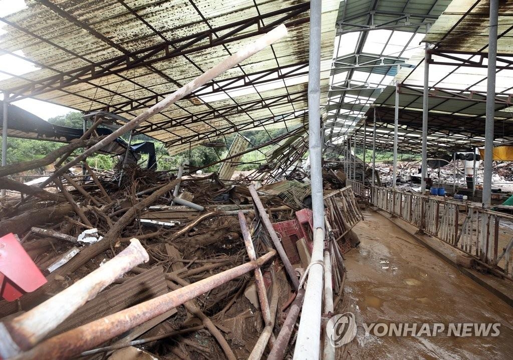La fotografía, tomada el 2 de agosto de 2020, muestra un establo destrozado en Chungju, en la provincia de Chungcheong del Norte, tras las fuertes lluvias.