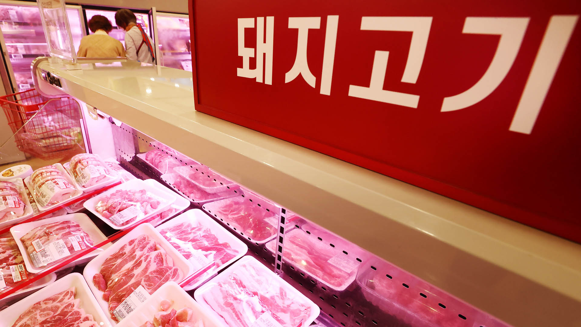수입 돼지고기 90%가 무관세인데…물가대책 효과 의문 | 연합뉴스