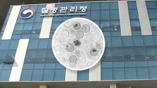 Corea del Sur reporta sus primeros dos presuntos casos de viruela del mono