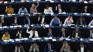 유럽의회, 원자력·천연가스 녹색분류체계에 포함키로