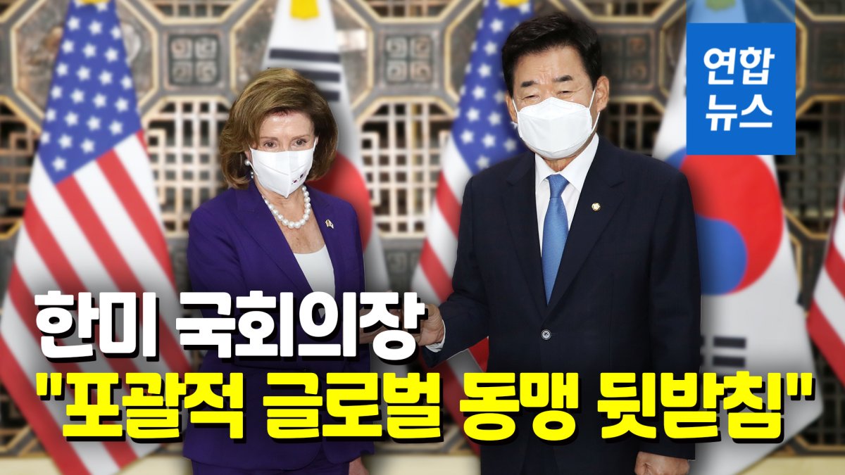 [영상] 방한 펠로시, 김진표 의장과 회담…"한미 정부 '北비핵화' 지원"