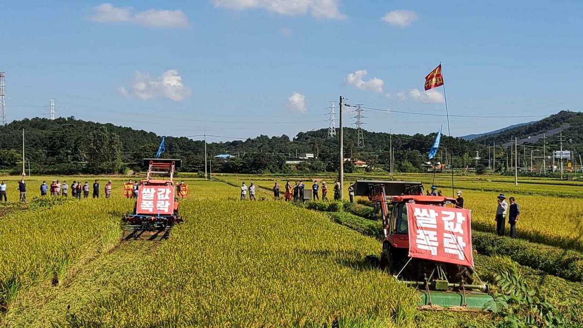 쌀값 하락에 분노하는 '농심'…안정화 대책은?