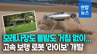 [영상] '해변도 거침없이 달린다'…KAIST 고속보행 로봇 '라이보'
