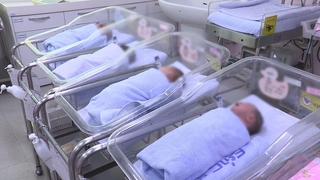 Part record de premiers bébés parmi les nouveau-nés l'année dernière