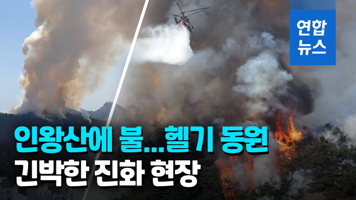 [영상] 서울 인왕산 불…홍제동 개미마을 등 대피 안내