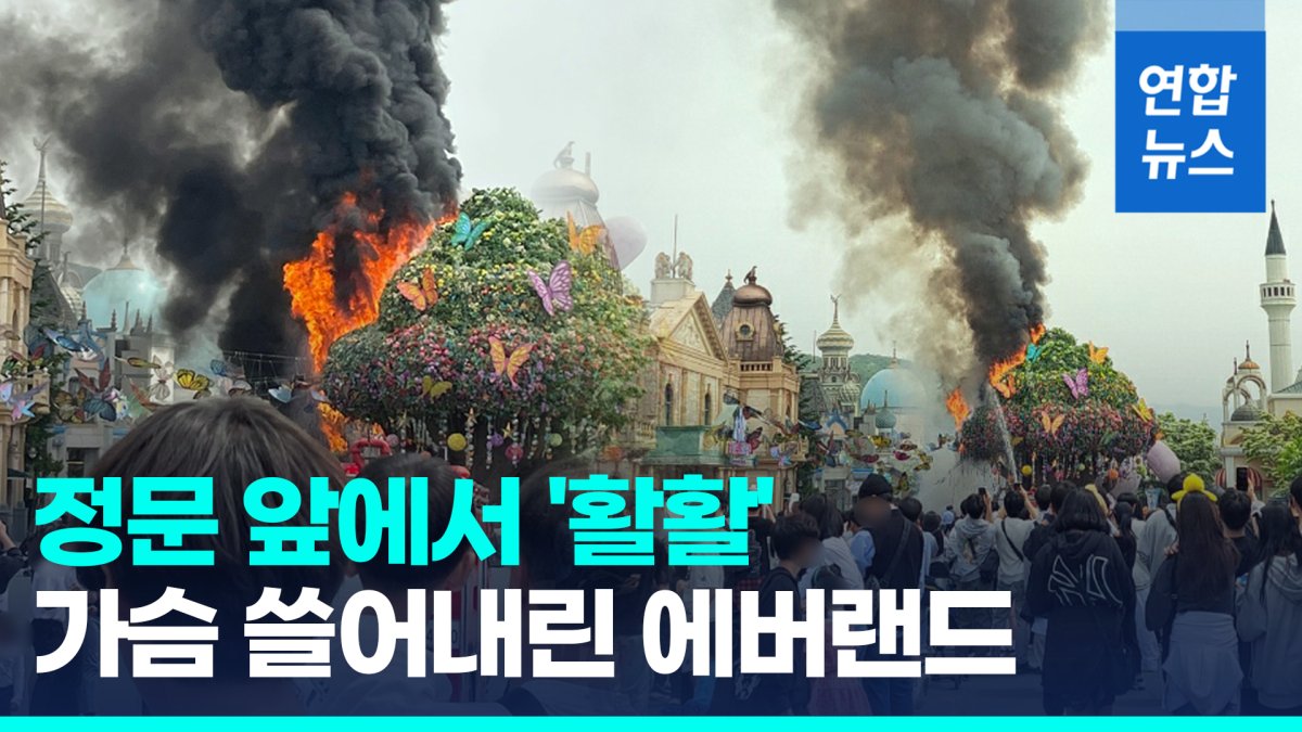 [영상] 에버랜드 정문 앞 나무 조형물에 불…대피 소동