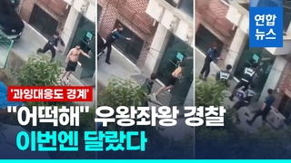  경찰봉 한번, 테이저건 한방…흉기난동 제압 '찰떡호흡'