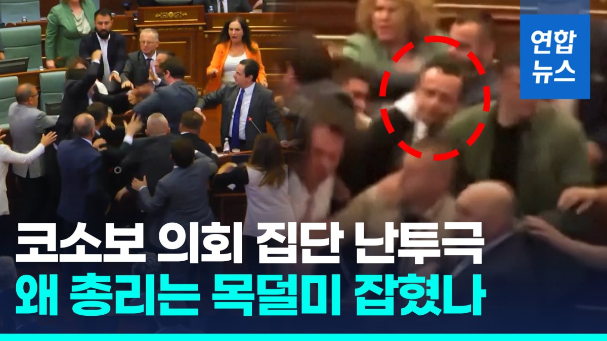 [영상] 주먹 '퍽퍽' 코소보 의회 난투극…목덜미 잡힌 총리 급히 피신