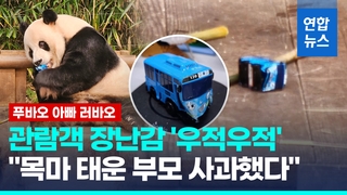  목마 태우려다 장난감 '뚝'…러바오, 입에 넣고 우적우적 '아찔'