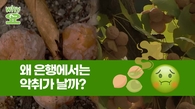 [Why요?] 왜 은행에서는 악취가 날까?