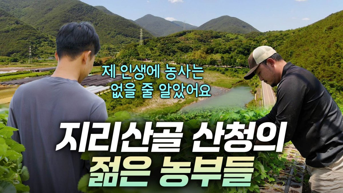 [리부팅 지방시대] 지리산 천왕봉이 산청이라고? 지리산 마을의 젊은 농부들 | 연합뉴스
