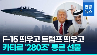 [영상] F-15 띄우고 낙타떼로 격한환대…카타르, 트럼프에 '280조 선물'