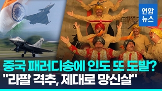 [영상] "라팔 전투기 격추, 90억$ 날려"…중국 패러디송에 인도 '발끈'