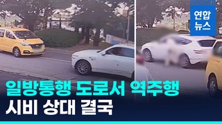 [영상] 일방통행 도로 역주행하더니…상대차 동승자 숨지게한 40대 체포