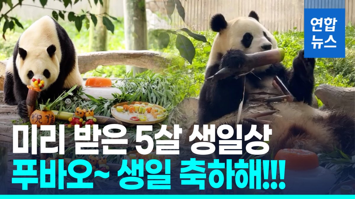[영상] "뭐부터 먹을까~"…5살 생일상 받은 푸바오 '죽순 콘' 덥석