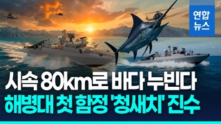 [영상] &apos;K-조선 기술집약&apos; 해병대 첫 함정…고속전투주정 &apos;청새치&apos; 진수