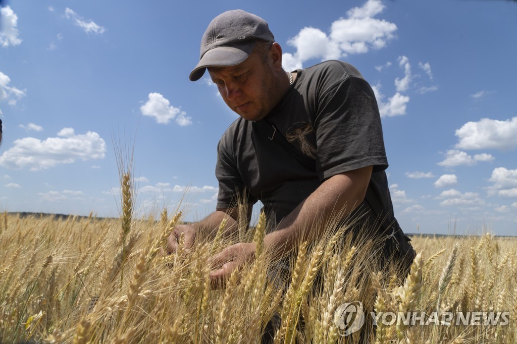 우크라이나 도네츠크 지방에서 밀 농사 짓는 농부