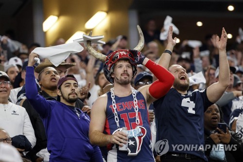 NFL 경기장의 팬들
