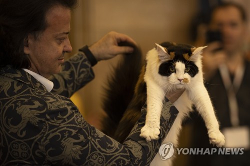'루마니아 국제 미묘 대회'…고양이 살펴보는 심사원