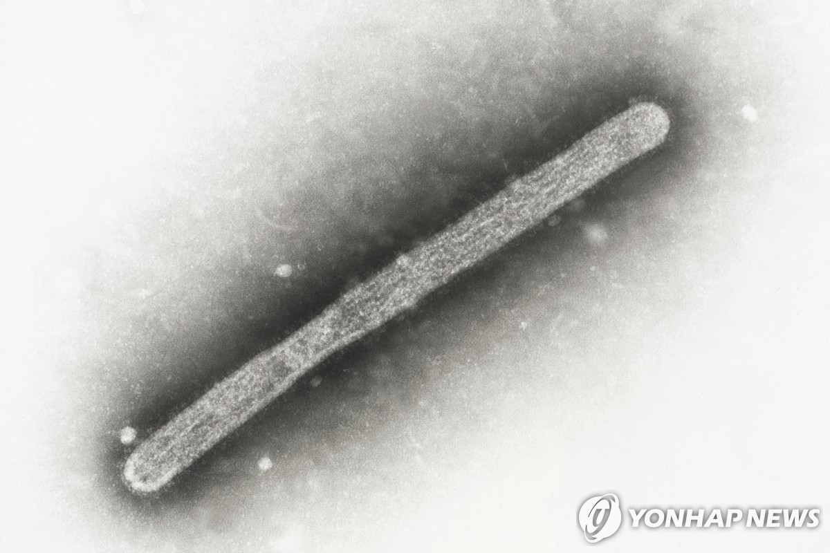 고병원성 조류 인플루엔자