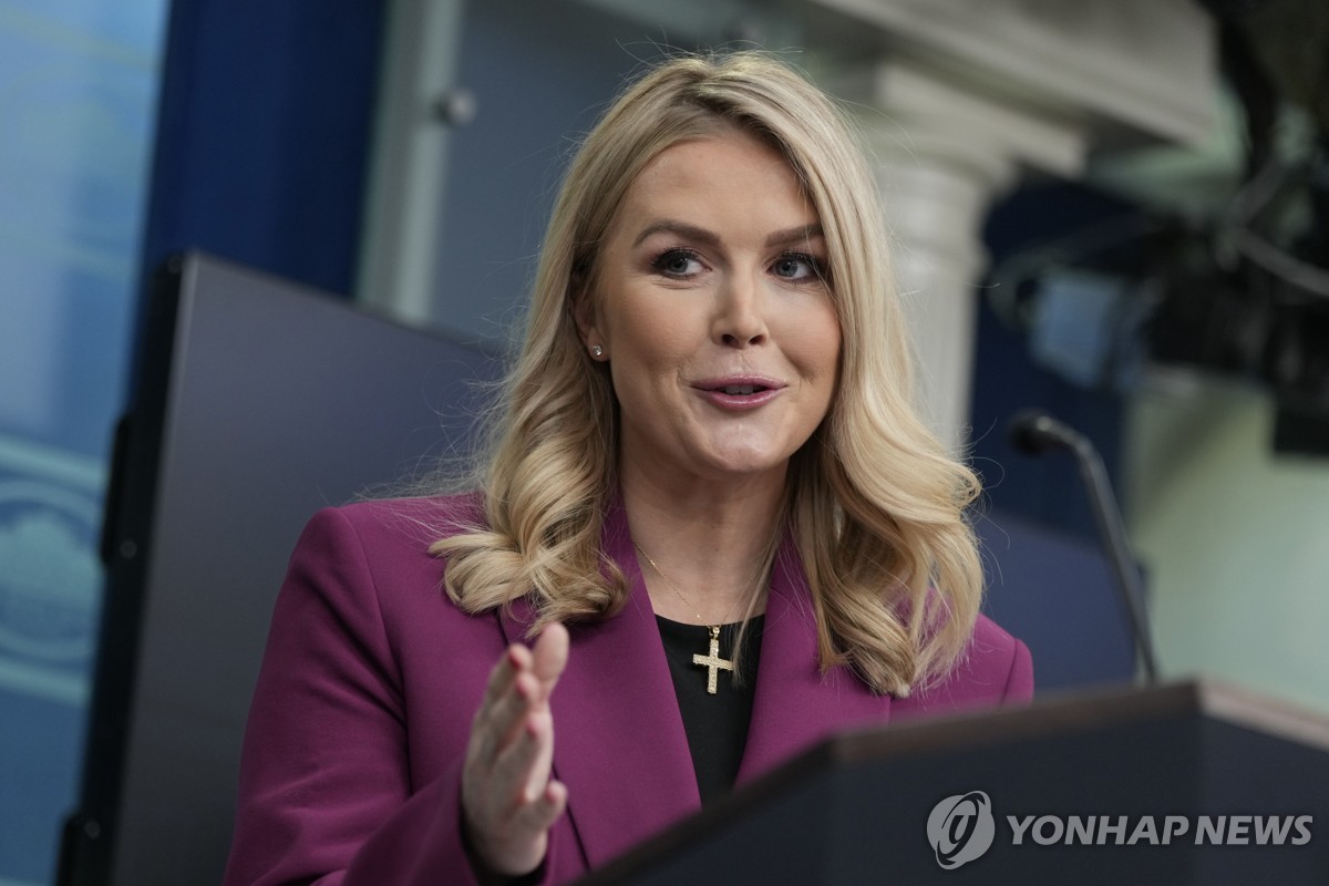 레빗 백악관 대변인