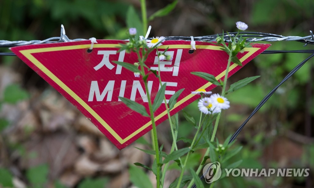 北朝鮮軍が非武装地帯で活発に作業　地雷埋設や鉄条網補強