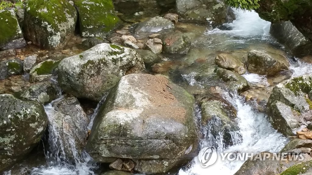경기도 양평 용문사 계곡